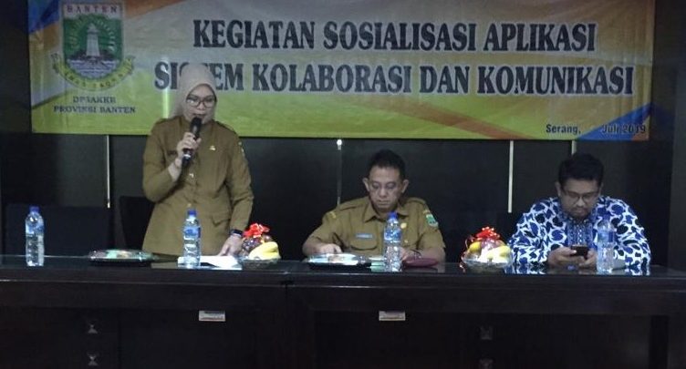 Sosialisasi aplikasi sistem kolaborasi dan komunikasi bidang Dalduk KB