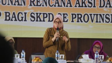 Penyusunan Rencana Aksi Daerah Peningkatan Kualitas Hidup Perempuan (PKHP)